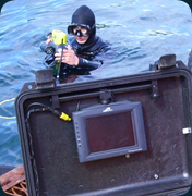 rov rov